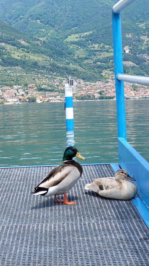 Light On Lake Iseo クルザネ エクステリア 写真